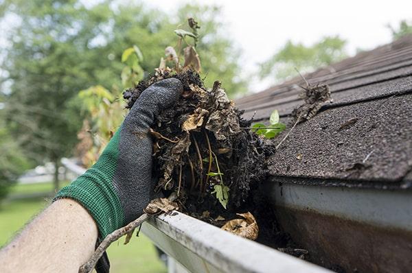 we can provide a personalized quote for gutter cleaning based on the specific size and needs of your home